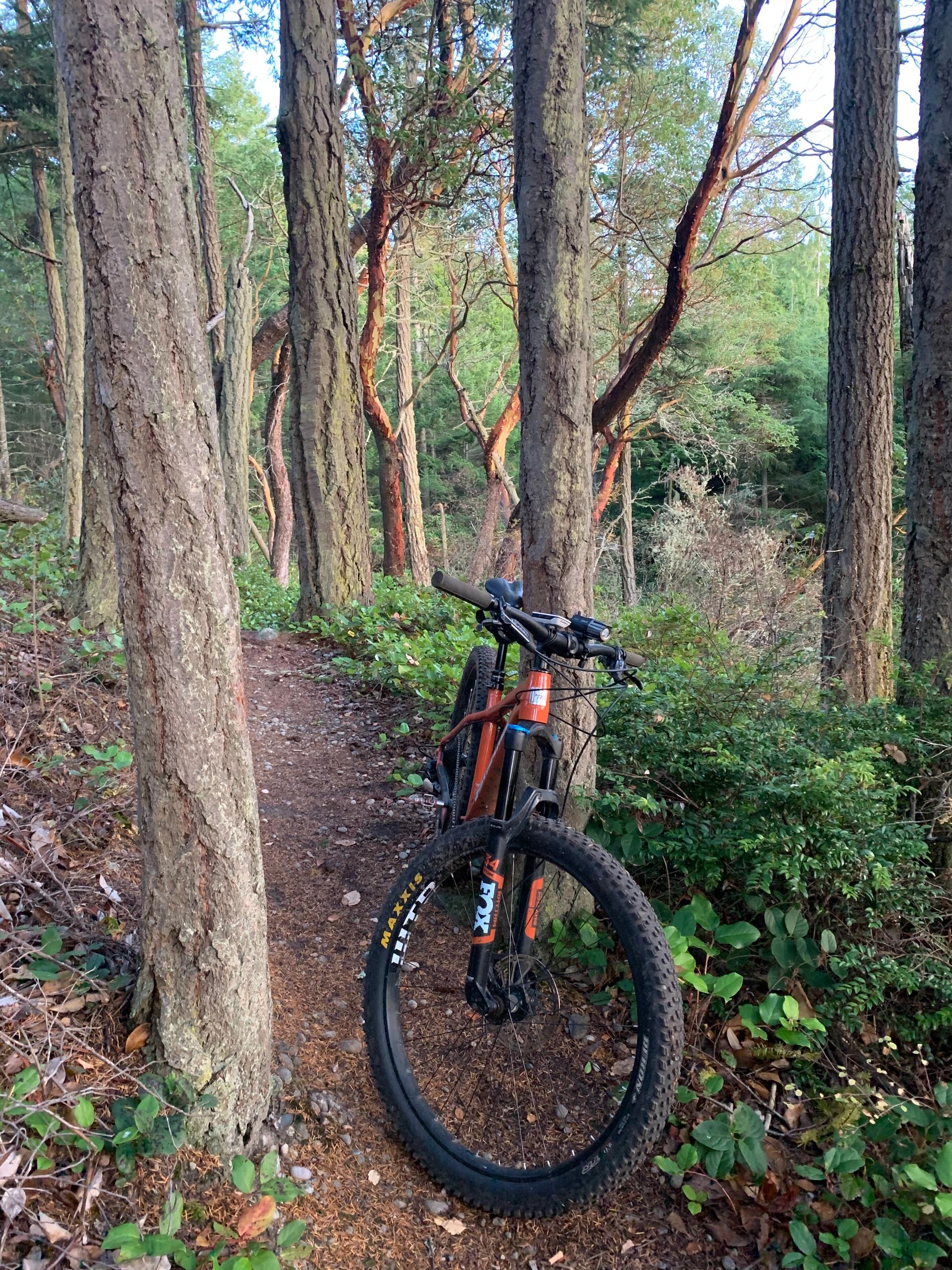 2020 Mussels in the Kettles